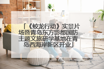 《蛟龙行动》实景片场暨青岛东方影都国防主题文旅研学基地在青岛西海岸新区开业