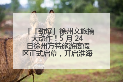 「劲爆」徐州文旅搞大动作！5 月 24 日徐州方特旅游度假区正式启幕，开启淮海旅游新篇章
