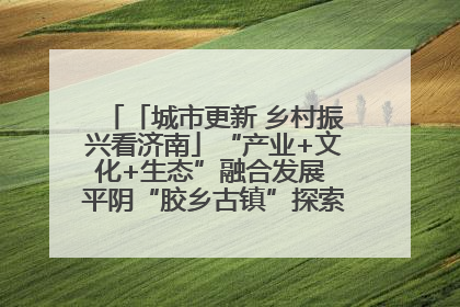 「城市更新 乡村振兴看济南」“产业+文化+生态”融合发展 平阴“胶乡古镇”探索振兴路径成效显著