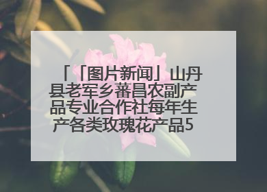 「图片新闻」山丹县老军乡蕃昌农副产品专业合作社每年生产各类玫瑰花产品500多吨