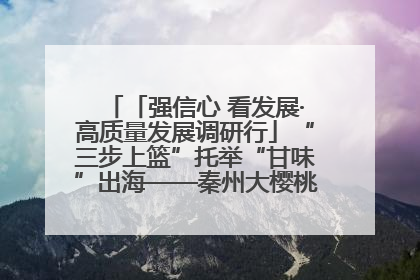 「强信心 看发展·高质量发展调研行」“三步上篮”托举“甘味”出海——秦州大樱桃高质量发展动作分解