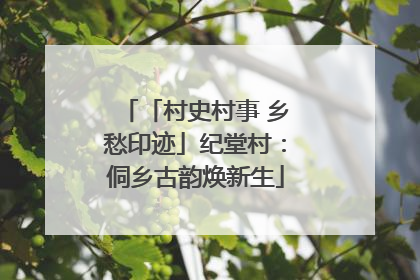「村史村事 乡愁印迹」纪堂村：侗乡古韵焕新生