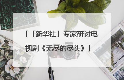 「新华社」专家研讨电视剧《无尽的尽头》