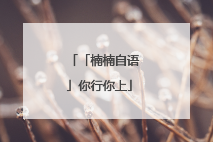 「楠楠自语」你行你上