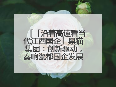 「沿着高速看当代江西国企」黑猫集团：创新驱动，奏响瓷都国企发展新乐章
