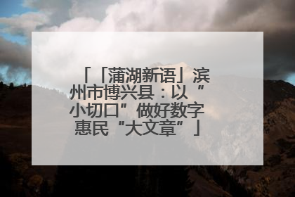「蒲湖新语」滨州市博兴县：以“小切口”做好数字惠民“大文章”