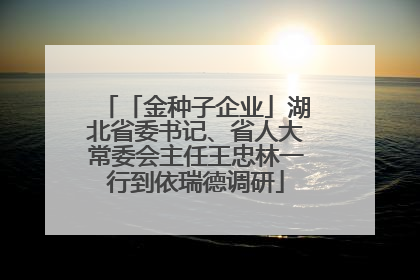 「金种子企业」湖北省委书记、省人大常委会主任王忠林一行到依瑞德调研