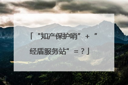 “知产保护哨”+“经盾服务站”=？