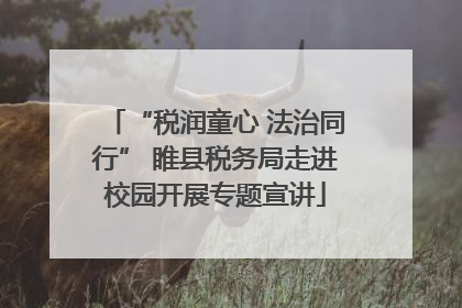“税润童心 法治同行” 睢县税务局走进校园开展专题宣讲