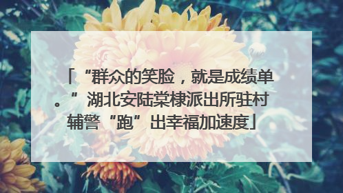 “群众的笑脸，就是成绩单。”湖北安陆棠棣派出所驻村辅警“跑”出幸福加速度