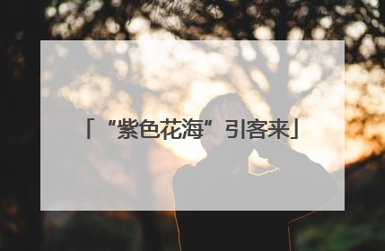 “紫色花海”引客来