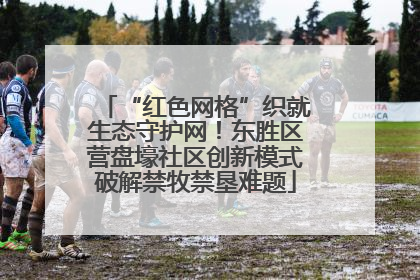 “红色网格”织就生态守护网！东胜区营盘壕社区创新模式破解禁牧禁垦难题
