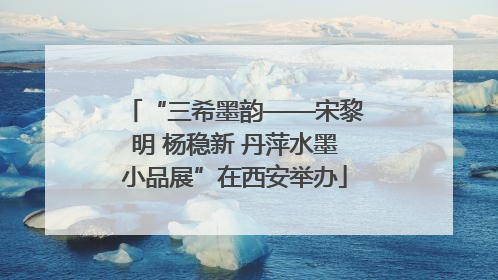 “三希墨韵——宋黎明 杨稳新 丹萍水墨小品展”在西安举办