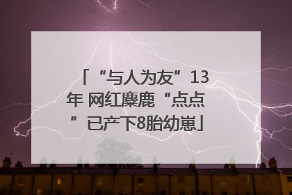 “与人为友”13年 网红麋鹿“点点”已产下8胎幼崽