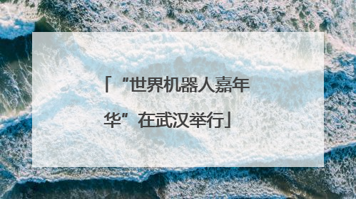 “世界机器人嘉年华”在武汉举行