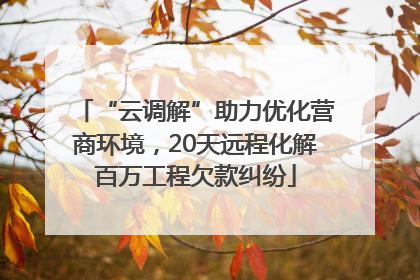 “云调解”助力优化营商环境，20天远程化解百万工程欠款纠纷