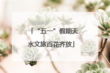 “五一”假期天水文旅百花齐放