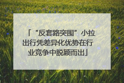 “反套路突围”小拉出行凭差异化优势在行业竞争中脱颖而出