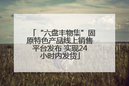 “六盘丰物集”固原特色产品线上销售平台发布 实现24小时内发货