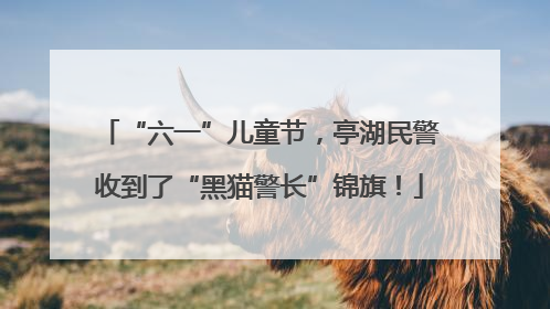 “六一”儿童节，亭湖民警收到了“黑猫警长”锦旗！
