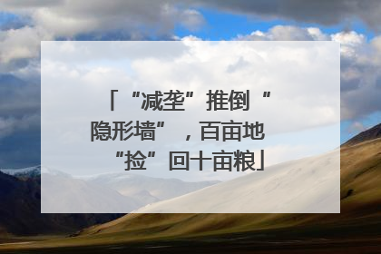 “减垄”推倒“隐形墙”，百亩地“捡”回十亩粮