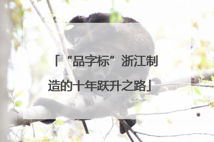 “品字标”浙江制造的十年跃升之路