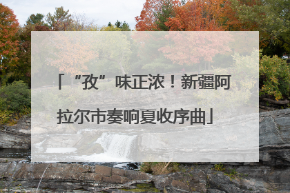 “孜”味正浓！新疆阿拉尔市奏响夏收序曲