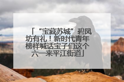 “宝藏苏城”碧凤坊有礼！新时代青年榜样喊话宝子们这个六一来平江街道