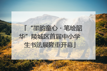 “墨韵童心・笔绘韶华”陵城区首届中小学生书法展隆重开幕