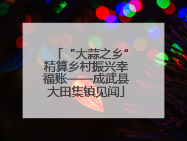 “大蒜之乡”精算乡村振兴幸福账——成武县大田集镇见闻