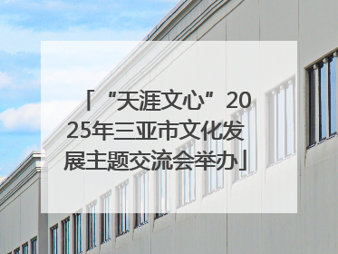 “天涯文心”2025年三亚市文化发展主题交流会举办