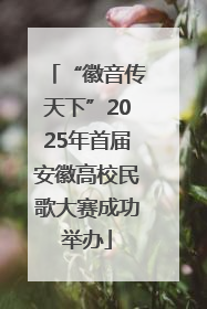 “徽音传天下”2025年首届安徽高校民歌大赛成功举办