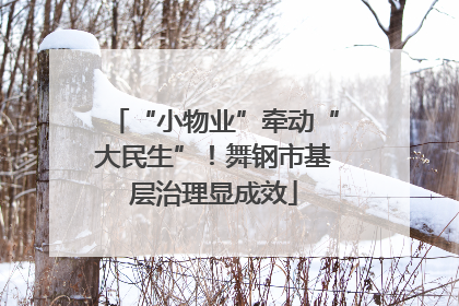 “小物业”牵动“大民生”！舞钢市基层治理显成效