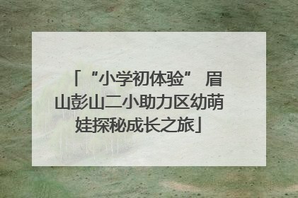 “小学初体验” 眉山彭山二小助力区幼萌娃探秘成长之旅