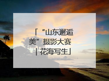 “山东邂逅美”摄影大赛｜花海写生