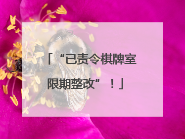 “已责令棋牌室限期整改”！