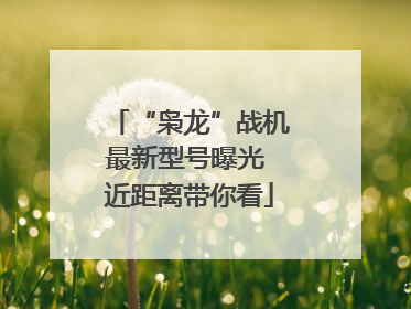 “枭龙”战机最新型号曝光 近距离带你看