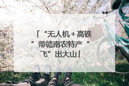 “无人机＋高铁”带赣南农特产“飞”出大山