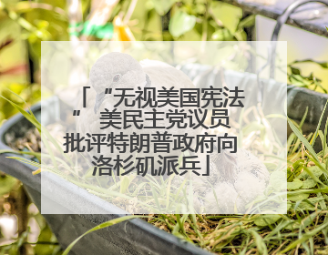 “无视美国宪法” 美民主党议员批评特朗普政府向洛杉矶派兵