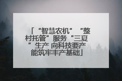 “智慧农机”“整村托管”服务“三夏”生产 向科技要产能筑牢丰产基础