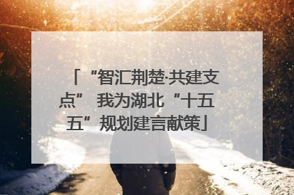 “智汇荆楚·共建支点” 我为湖北“十五五”规划建言献策