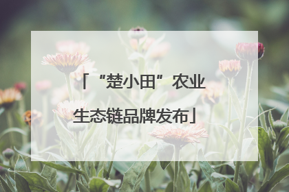 “楚小田”农业生态链品牌发布