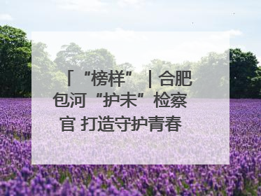 “榜样”｜合肥包河“护未”检察官 打造守护青春成长的永恒灯塔