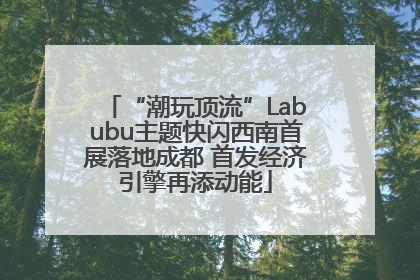 “潮玩顶流”Labubu主题快闪西南首展落地成都 首发经济引擎再添动能