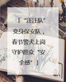 “汪汪队”变身保安队，春节警犬上岗守护群众“安全感”