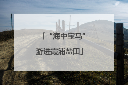 “海中宝马”游进霞浦盐田