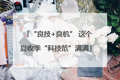 “良技+良机” 这个夏收季“科技范”满满
