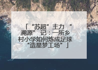“苏超”主力 “溯源” 记：一所乡村小学如何炼成足球 “造星梦工场”