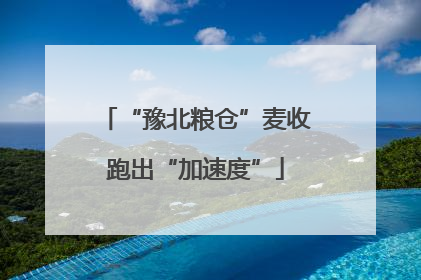 “豫北粮仓”麦收跑出“加速度”