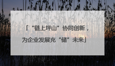 “链上坪山”协同创新，为企业发展充“储”未来